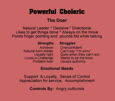 Choleric Personality, Choleric Melancholic, 4 Temperaments, Temperament Types, Human Personality, Say Im Sorry, Myers Briggs Personalities, Business Skills, Personality Type