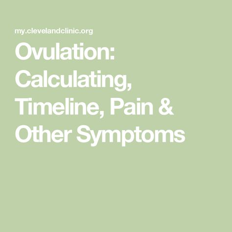 Ovulation: Calculating, Timeline, Pain & Other Symptoms Ovulation Signs, Ovulation Pain, Conception Tips, Ovulation Symptoms, Ovulation Calculator, Ovulation Cycle, Ovulation Tracking, Ovulation Test, The Menstrual Cycle