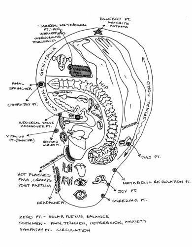 Ear Reflexology Map | My sketch of ear reflexology points...… | Flickr Ear Acupressure Points, Acupuncture Charts, Ear Reflexology, Reflexology Points, Ear Seeds, Reflexology Chart, Acupressure Massage, Reflexology Massage, Foot Reflexology