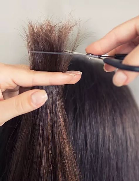 Cut split ends on your own hair At Home Hair Styles Easy, Diy Hair Trim Split Ends, Trim Hair At Home Split Ends, How To Trim Hair At Home Split Ends, How To Trim Your Own Hair Split Ends At Home, Hair Trimming At Home, How To Cut Straight Hair At Home, Trim Long Hair Diy At Home, How To Trim Hair At Home