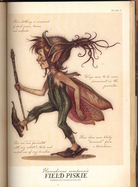 Pixie | Spiderwick Chronicles Wiki | FANDOM powered by Wikia Druid Fairy, Spiderwick Chronicles, Creature Fantasy, Legends And Myths, Fairies Elves, Fairytale Art, Mythical Creatures Art, Mythological Creatures, Mystical Creatures