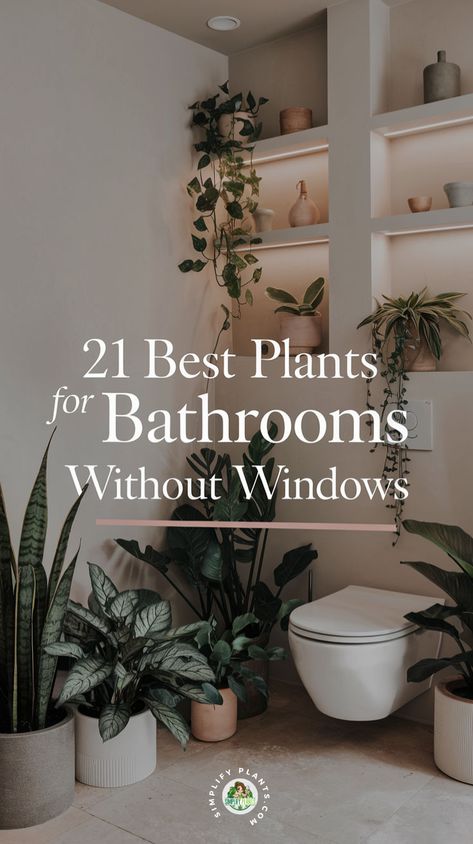 "Discover the 21 best plants for bathrooms without windows that thrive in low light! This guide features low maintenance bathroom plants and air purifying plants perfect for windowless spaces. Explore bathroom plants that don’t need sunlight, ideal for small bathrooms, and learn about indoor plants for low light bathrooms. Transform your dark bathroom into a lush oasis with houseplants that flourish in challenging conditions. Perfect for plant lovers seeking the best plants for dark bathrooms!" Bathroom House Plants, Toilet Plants Ideas, Plants In The Shower Ideas, Bathroom Plant Shelf, Toilet Room Ideas With Window, Plants In Bathroom Ideas, Toilet Seat Ideas, Plant For Bathroom With No Windows, Low Maintenance Bathroom