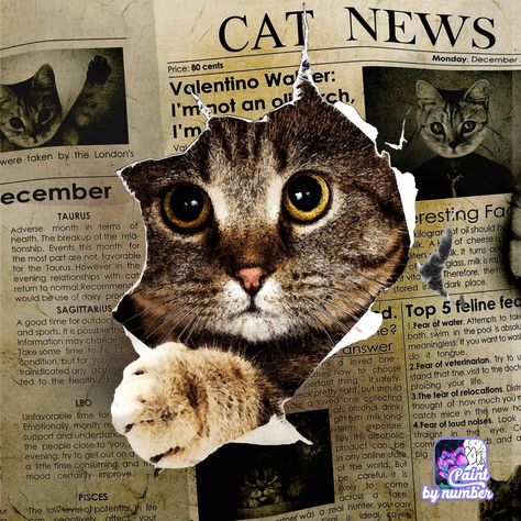 Cat Newspaper, Losing My Best Friend, Cat Paintings, Color By Numbers, Arte Animal, Naive Art, By Myself, Cute Backgrounds, Cat Painting