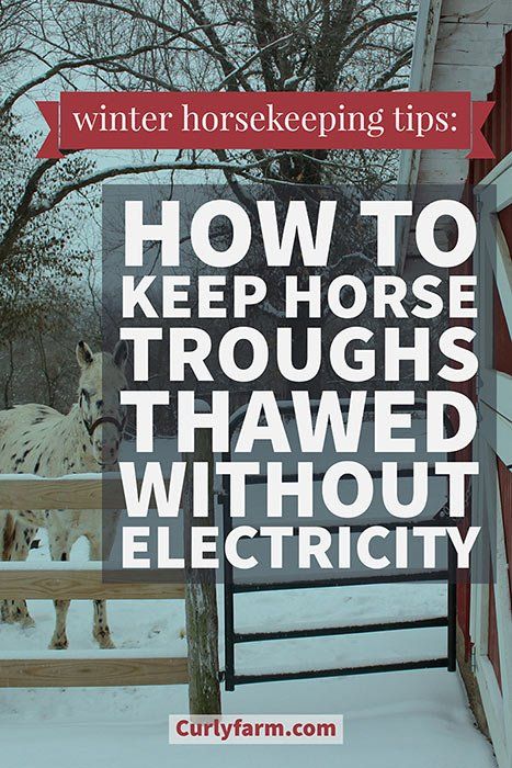 taking care of horses in winter storms Horse Stall Feeders, Horse Water Trough Ideas, Salt Water Jugs For Horse Trough, How To Keep Water Troughs From Freezing, Horse Stall Water Ideas, Taking Care Of Horses, Horse Stalls Diy, Horse Water Trough, Horses In Winter