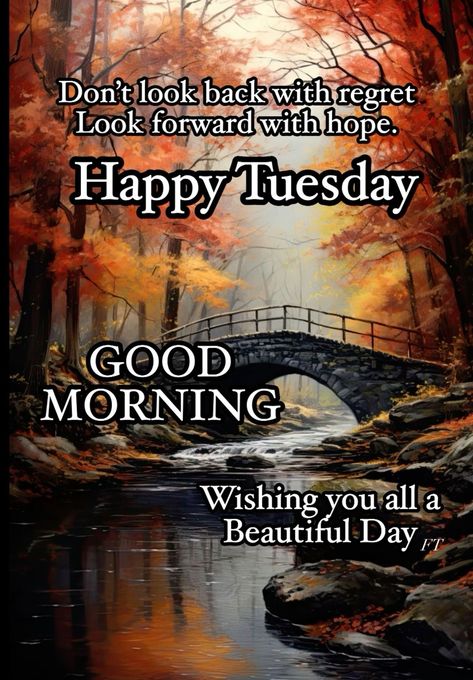 Tuesday Morning Greetings, Good Morning Family Quotes, Good Morning Tuesday Wishes, Good Morning Saturday Wishes, Blessed Tuesday, Good Morning Happy Tuesday, Happy Tuesday Images, Happy Tuesday Morning, Good Morning Sister Quotes