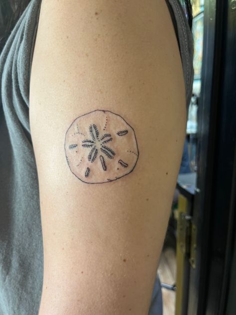 Sand Dollar Tattoo, Dollar Tattoo, Henna Inspo, Aesthetic Tattoos, Tattoo Aesthetic, Ocean Tattoos, Beach Tattoo, Stick And Poke, Dainty Tattoos