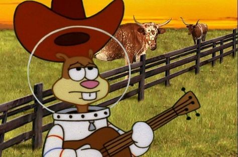 Answer This One Question And We'll Determine If You're Really From Texas Imagination Spongebob, Sandy Cheeks, Spongebob Funny, Too Tired, Texas City, Spongebob Memes, Meme Stickers, Day 6, Spongebob Squarepants