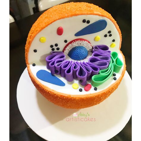 Animal cell sphere cake Animal Cell Cake Project Ideas, Sphere Cake Ideas, Animal Cell Cake Project, Animal Cell Cake, Plant Cell Cake, Edible Cell Project, Cell Cake, Sphere Cake, Plant Cell Project