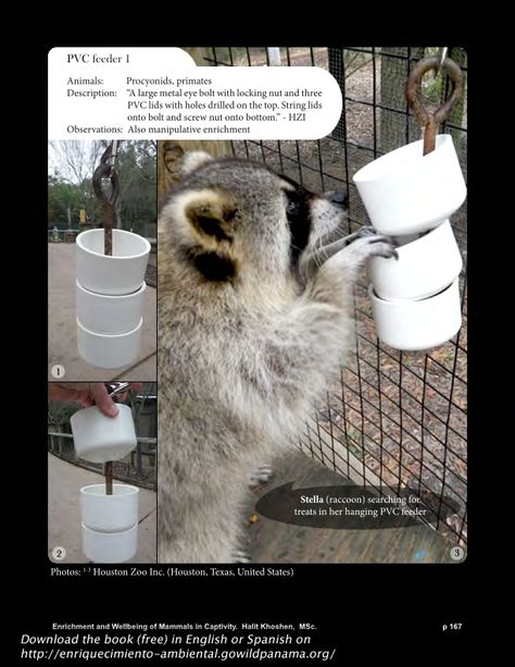 Download the book (free) Enrichment and Well-Being of Mammals in Captivity in English or Spanish on enriquecimiento-a... Over 250 pages with detailed information and photos on the types and stages of environmental enrichment, plus a chapter on animal rights and animal welfare with tools for measuring animal welfare in captive settings. Skunk Enrichment, Big Cat Enrichment, Zoo Enrichment, Animal Rescue Ideas, Enrichment Projects, Animal Enrichment, Zoo Project, Houston Zoo, Wildlife Rehabilitation