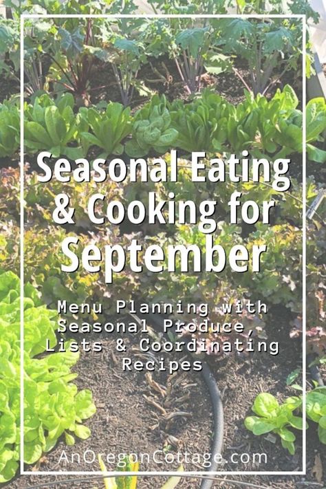 Seasonal eating and cooking tips, produce lists and recipes for the month of September, PLUS a free seasonal menu planning page! Grab this to make meal planning easier, save money, and eat food at its best while cooking through the seasons with this monthly series. September Recipes, Oregon Cottage, Cottage Recipes, Meal Plan Printable, Bruschetta Toppings, Seasonal Eating, Seasonal Cooking, Garlic Green Beans, Frozen Green Beans