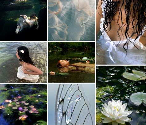 Results for quiz What type of fairy are you ? I got water fairy 🧚🏻‍♂️🪷 Water Witch Aesthetic, Water Witch, Water Fairy, Adopt Idea, Types Of Fairies, Water Spirit, Blue Girl, His Dark Materials, Picture Boards