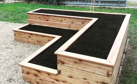 Modular Raised Garden Beds, Raised Garden Beds Diy Vegetables, Garden Bed Layout, Beds Diy, Elevated Gardening, Building Raised Garden Beds, Raised Flower Beds, Vegetable Garden Raised Beds, Building A Raised Garden