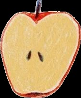 not mine Apple Png Aesthetic, Apple Core Drawing, Rotten Apple Drawing, Apple Illustration Vintage, Apple Vintage Illustration, Notion Icons, Apple Aesthetic, Lady Lady, Apple Illustration