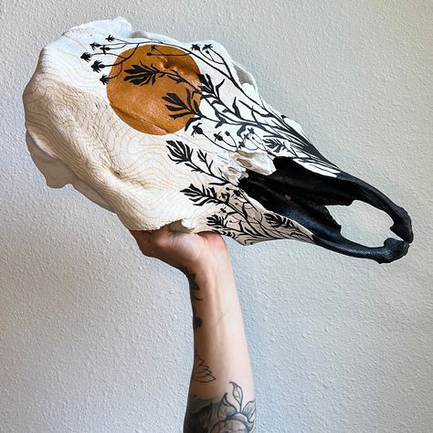 Shop Hand Painted Cow Skulls and Other Unique Canvases — Wild Hare Studio Cow Skull Art Ideas, Diy Cow Head Decor, Painted Cow Skull Ideas No Horns, Painting Cow Skulls, Painted Deer Skulls Ideas, Cow Skull Painted, Cow Bone Crafts, Painted Buffalo Skull, Cow Bone Art