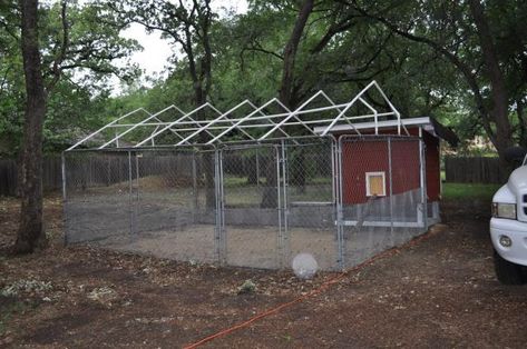 Diy Metal Roof, Building A Chicken Run, Coop Run, Urban Chicken Farming, Chicken Pen, Chicken Coop Run, Backyard Chicken Farming, Chicken Life, Dog Yard