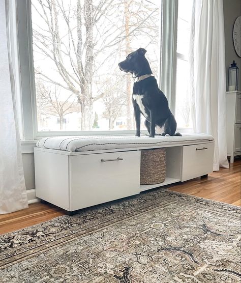 Dog Beds Under Desk, Pet Window Seat Dogs, Window Nook For Dog, Raised Dog Bed For Window, Diy Window Seat For Dog, Dog Bench Bed, Dog Bed By Window, Window Bed For Dog, Dog Window Perch Diy