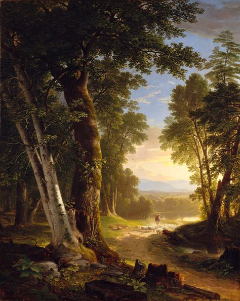 The Beeches. Asher Brown Durand (American, Jefferson, New Jersey 1796–1886 Maplewood, New Jersey) 1845. Hudson River School, Forest Path, Charcoal Drawings, Pierre Auguste Renoir, Art Texture, Art Landscapes, Hudson River, Alam Yang Indah, Gustav Klimt