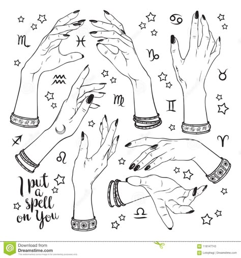 Hand Drawn Set Of Female Witches Hands In Different Poses. Flash Tattoo, Sticker, Patch Or Print Design Vector Illustration. Stock Vector - Illustration of print, pagan: 118147743 Hands In Different Poses, Tattoo Main, Witchcraft Tattoos, Witch Hands, Witch Tattoo, Hand Tattoos For Women, Different Poses, Hand Reference, Abstract Illustration