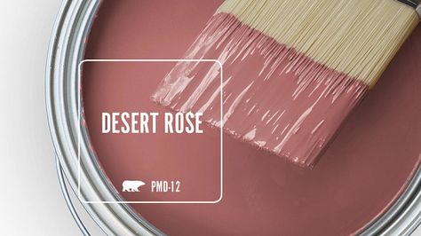 Deep Rose Paint Color, Vintage Rose Paint, Rose Gold Paint Colors For Walls, Behr Dusty Rose, Behr Terra Cotta Paint Colors, Behr Pink Paint, Feminine Paint Colors, Rose Gold Paint Color, Pink Kitchen Paint