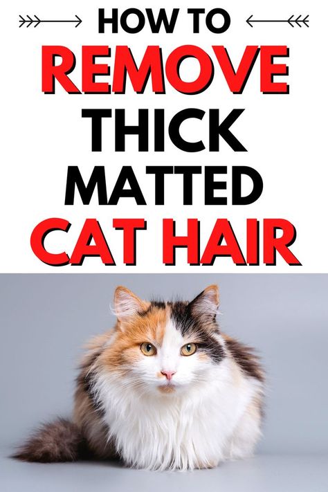 How To Remove Matted Cat Hair >> LEARN MORE @ ThePetSupplyGuy.com << #thepetsupplyguy #pet #pets #animal #cat #cats #feline #kitten #kittens removing matted cat hair Laser Hair Removal Men, Waxing Vs Shaving, Cat Life Hacks, Lip Hair Removal, Natural Hair Removal, Cat Hair Removal, Matted Hair, Hair Roller, Underarm Hair Removal