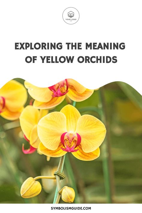 Yellow orchid meaning and symbolism encompass representations of new beginnings, friendship, and joy. These vibrant flowers are also associated with activity, Orchid Meaning Symbols, Orchid Symbol, Meaning Of Yellow, Orchid Meaning, Orchid Leaves Turning Yellow, Yellow Orchid Aesthetic, Orange Orchid, Orchid Varieties, Red Orchids