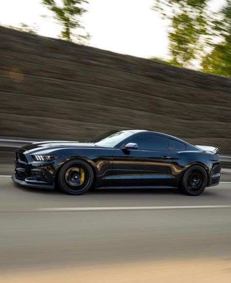 Mustang Gt Black, Mustang 2024, Black Mustang Gt, Black Mustang, Mustang Gt500, S550 Mustang, Ford Mustang Shelby Gt500, Lux Cars, Concept Car Design