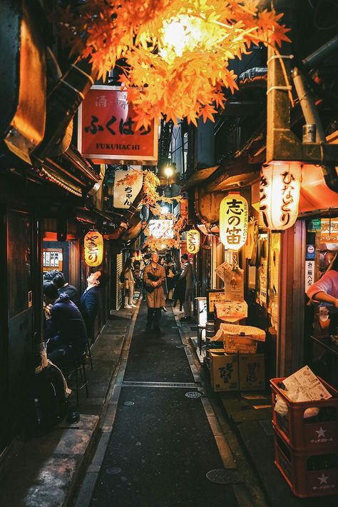 An Alleyway in Tokyo Japanese Scrapbook, Alley Way, Monte Fuji, Tokyo Night, Japan Street, Japan Photography, Japon Illustration, Japan Aesthetic, Aesthetic Japan