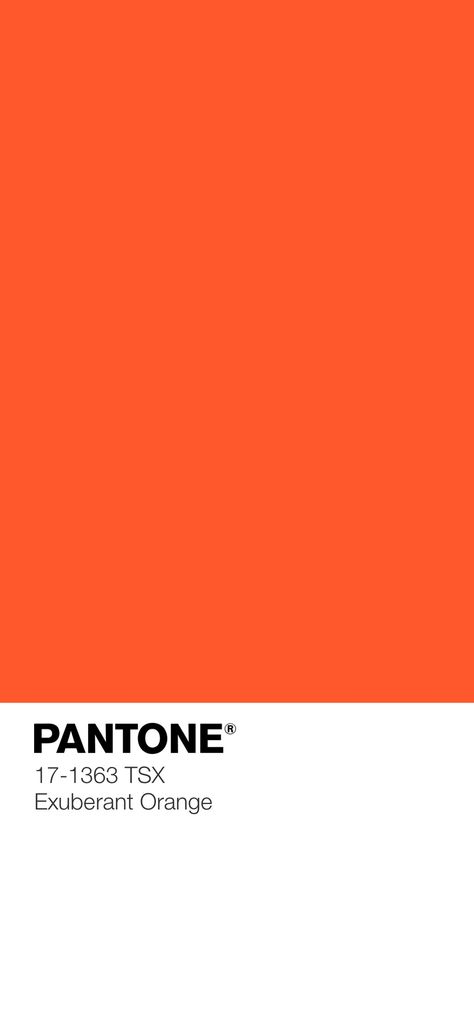 Pantone Colors Orange Shades, Pantone Orange, Pantone Colors, Fluorescent Colors, Christmas Room, Pink Lemonade, Shades Of Orange, Pantone Color, Bright Orange