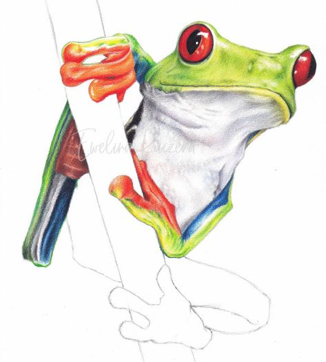 Tree Frog Drawing Easy, Frog Drawing Step By Step, Tree Frog Drawing, Draw With Colored Pencils, Tree Frog Art, Draw A Frog, Colored Pencil Drawing Tutorial, Fun Paintings, Leaf Print Art