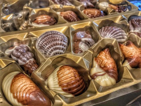 Guylian Chocolate, Seashell Chocolates, Chocolate Seashells, Jesus Walking On Water, Anchor Cross, Jesus Walking, Summer Traditions, Belgium Chocolate, Purple Flats