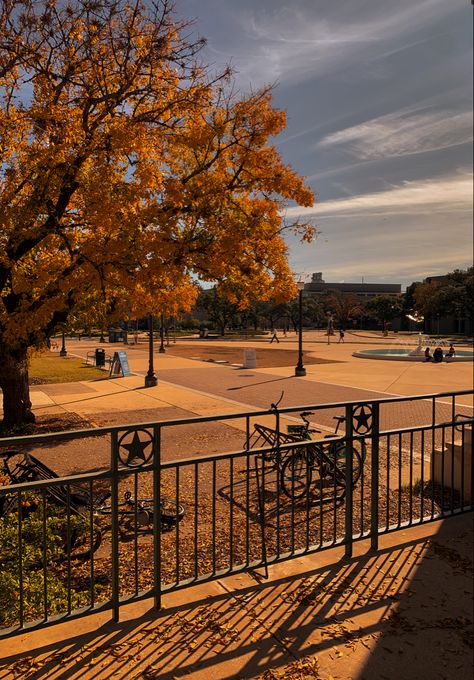 Autumn In Texas, College Fall Aesthetic, Texas Autumn, Cozy Fall Aesthetic, Arizona University, Northern Arizona University, Texas Aggies, College Aesthetic, Mac Wallpaper