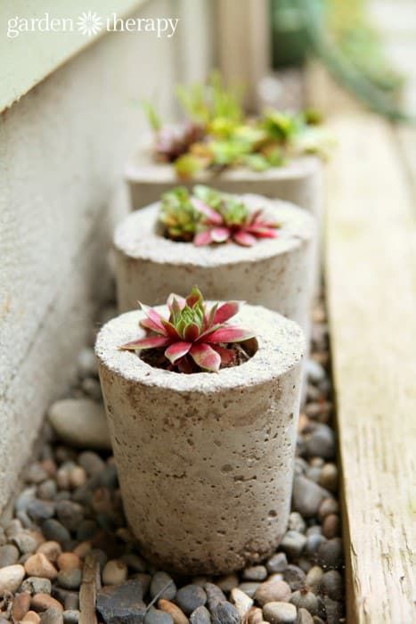 Make Concrete Planters, Concrete Planters Garden, Decoration Beton, Diy Concrete Planters, Garden Therapy, Concrete Ideas, Cement Planters, Concrete Crafts, Concrete Garden