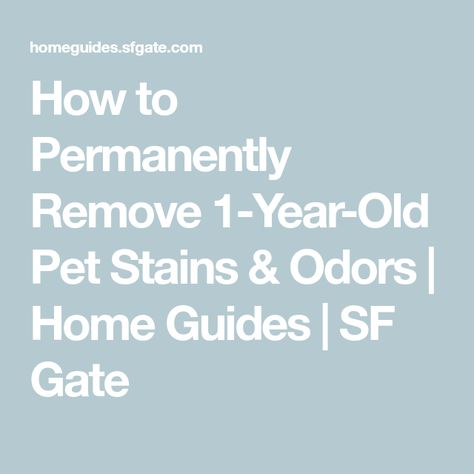 How to Permanently Remove 1-Year-Old Pet Stains & Odors | Home Guides | SF Gate Pet Urine Smell, Cleaning Upholstered Furniture, Pet Odor Remover, Remove Pet Stains, Deep Cleaning Checklist, Stain Remover Carpet, Cleaning Tips And Tricks, Natural Cleaning Recipes, Urine Smells