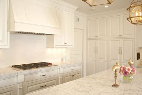 Raised Cabinets Kitchen, Square Raised Panel Cabinets, Cabinet Door Styles Kitchen, Kitchen Shaker Cabinets, Raised Panel Kitchen Cabinets, Cabinetry Ideas, Panel Kitchen Cabinets, Wood Hood, Raised Panel Cabinet Doors