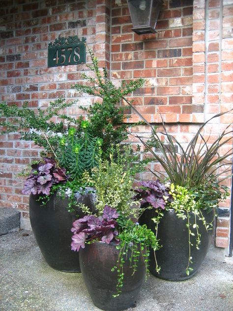 Winter Flower Container Ideas, Fall Potted Plants Planters, Fall To Winter Planters, Winter Container Garden, Fall Container Ideas, Shade Planters Ideas Front Porches, Winter Containers Planters, Fall Pots Outdoor Planters, Winter Container Plants