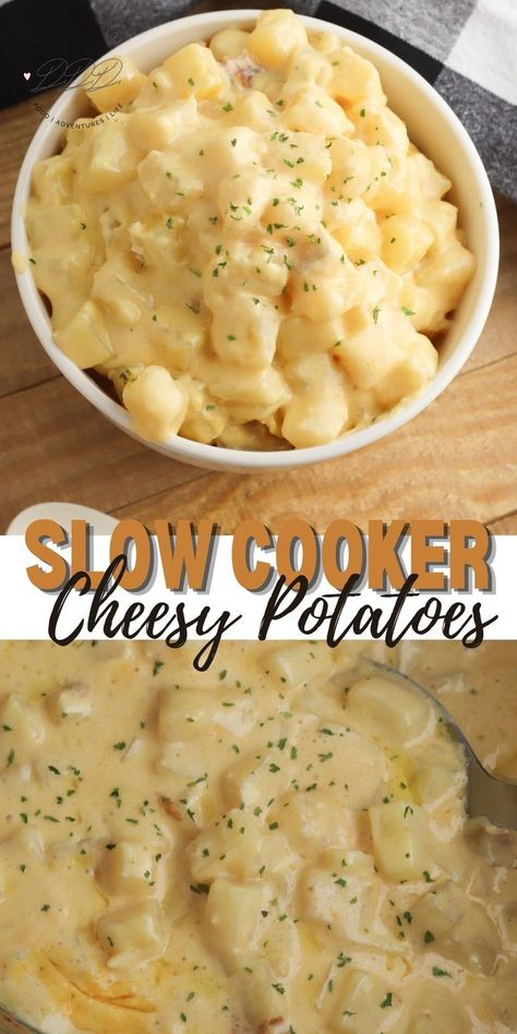 Cheesy Potatoes Cheesey Potatoes Crockpot, Slow Cooker Cheesy Potatoes, Cheesy Potatoes Crock Pot, Creamy Cheesy Potatoes, Cheesy Potatoes Recipe, Crock Pot Potatoes, Easy Crockpot Dinners, Fresh Potato, Side Dish Recipes Easy