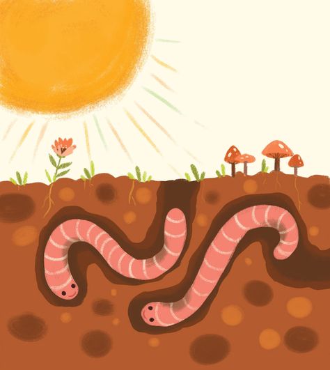 Earthworms :: Behance Earthworm Drawing, Worms In Dirt, Earthworms, Homeschool Art, The Sunrise, Blue Bird, Rainy Day, Google Images, Disney Characters