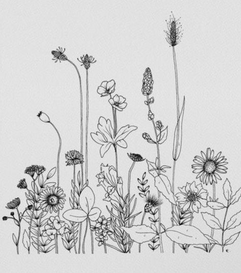 Wild Flowers Drawing, Vintage Tattoos, Wildflower Drawing, Tattoos Men, Wildflower Tattoo, Flowers Drawing, Leg Tattoos Women, Simplistic Tattoos, Tattoo Design Drawings