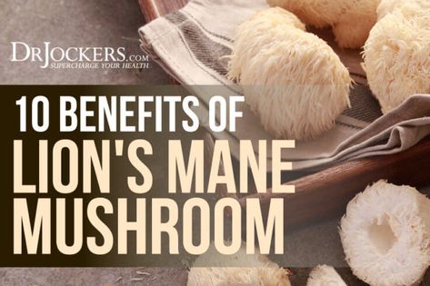 Health Benefits Of Lions Mane, Lions Mane Mushroom Powder Recipe, Lions Mane Supplement, Lion’s Mane Benefits, Lions Mane Benefits For Women, Lions Mane Powder, Benefits Of Lions Mane Mushroom, Lions Main Mushroom Benefits, Lion’s Mane