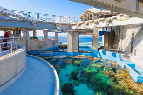 Aquarium Map | Okinawa Churaumi Aquarium - For the next generation to inherit; the beautiful seas of Okinawa. - Aquarium Entrance, Dinosaur Enclosure, Aquarium Building, Churaumi Aquarium, Shark Sculpture, Tropical Fish Tanks, Eco Resort, Building Entrance, Event Hall