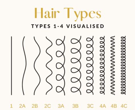 Different Hair Types Chart, Hair Types Chart, Hair Texture Chart, English Presentation, Hair Type Chart, Hair Chart, Hairstyle Names, Cosmetic Packaging Design, Curly Hair Types