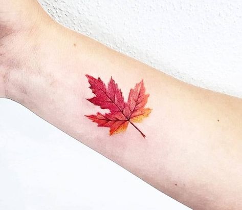 Leaf Tattoo Ideas, Maple Leaf Tattoos, Fall Leaves Tattoo, Autumn Tattoo, Leaf Tattoo, Pirate Tattoo, Band Tattoos, Sugar Skull Tattoos, Inspiration Tattoo