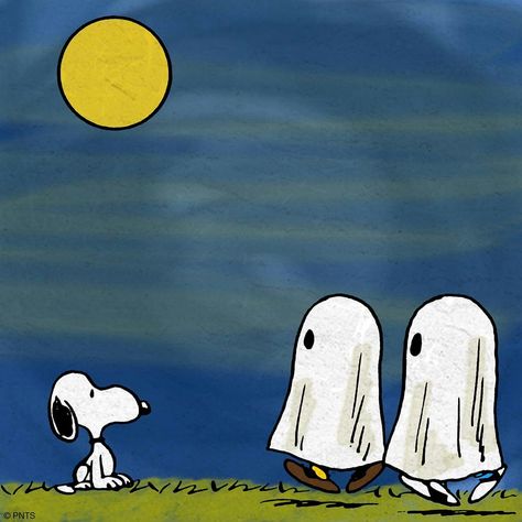 Snoopy checking out two of the Peanuts gang dressed as ghosts on Halloween night. Peanut Gang, Great Pumpkin Charlie Brown, Charlie Brown Halloween, Peanuts Halloween, Snoopy Halloween, Hacks Beauty, Peanuts Cartoon, Peanuts Characters, Snoop Dog