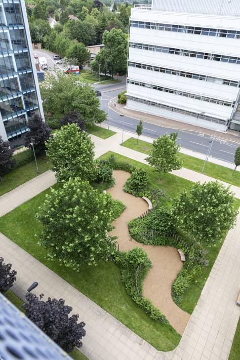 An aerial shot of the NHS 70 Garden we created for Addenbrooke's Hospital, providing a spot of respite and peace in nature for patients and visitors #publicspaces #gardendesign #landscapedesign #lookforward #nhs70 Healing Garden Design, Peace In Nature, Pocket Park, Urban Landscape Design, Healing Garden, Courtyard Design, Sensory Garden, Landscape And Urbanism, Urban Park