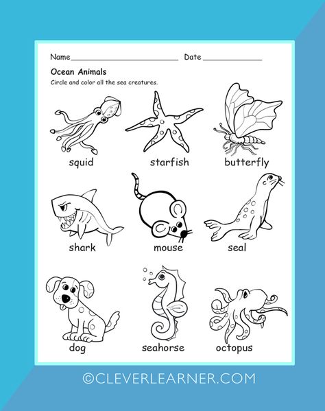 Under the sea theme worksheets for preschools. #homeschool #seacreatures #wateranimals #underthesea #preschool #worksheets http://cleverlearner.com/science/aquatic-animals-preschool-worksheet.html Water Animals Preschool, Sea Animals Preschool, Animals Live In Water, Ocean Theme Preschool, Animal Lessons, Sea Activities, Cvce Words, Animal Worksheets, Kids Worksheets Preschool