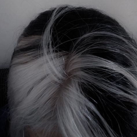 Black White Hair Aesthetic, Wraith Aesthetic, Black And White Hair Aesthetic, Grey Hair Aesthetic, Narcissa Malfoy Aesthetic, Narcissa Black Aesthetic, Hair Turning White, Narcissa Black, Malfoy Aesthetic