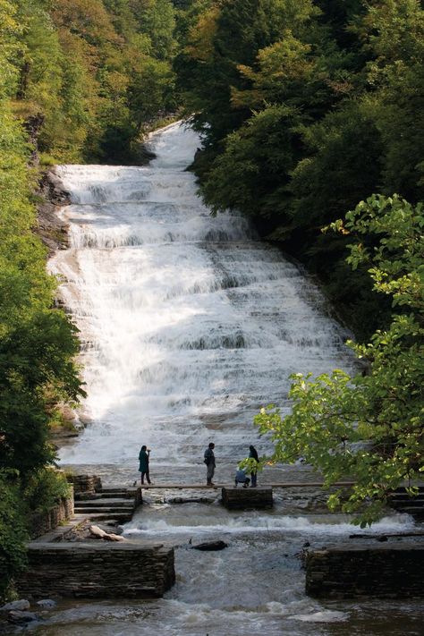 Buttermilk Creek descends more than 500 feet in a series of cascades and rapids. A natural pool at the base of Buttermilk Falls provides swimming with the feel of an old swimming hole. Upstream, a scenic trail circles Lake Treman. The park features 5 trails that wander through a remarkable variety of landscapes. Can You Swim at Buttermilk Falls? There is a natural pool at the base of Buttermilk Falls that provides lifeguarded swimming for park visitors. View falls from the park entrance area ... Buttermilk Falls, State Park Wedding, Park Entrance, Swimming Hole, Ithaca Ny, Natural Pool, Swimming Holes, Park Wedding, Park Weddings