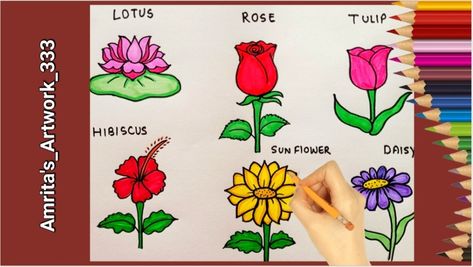 How To Draw Different Types Of Flowers, Different Types Of Flowers To Draw, Different Types Of Flowers Drawing, Types Of Flowers Drawing, Different Type Of Flowers, Flowers Drawing Easy, Flower Drawing For Kids, Type Of Flowers, Basic Drawing For Kids