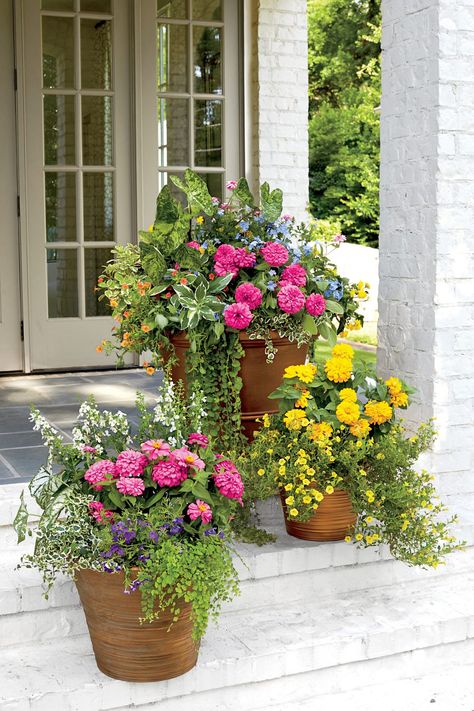 Front Porch Flowers, Fall Container Gardens, Porch Flowers, Fall Containers, Container Garden Design, Potted Flowers, Container Gardening Flowers, Front Steps, Plastic Planters