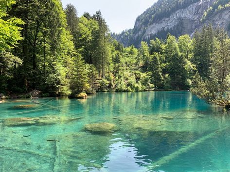 The Most Crystal-Clear Lakes in the World | Reader's Digest Lake Blausee Switzerland, Blausee Switzerland, Lac Moraine, Lake Reflection, Lake Baikal, Tropical Sea, Plitvice Lakes National Park, Water Aesthetic, Moraine Lake